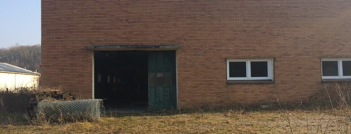montagnybis
