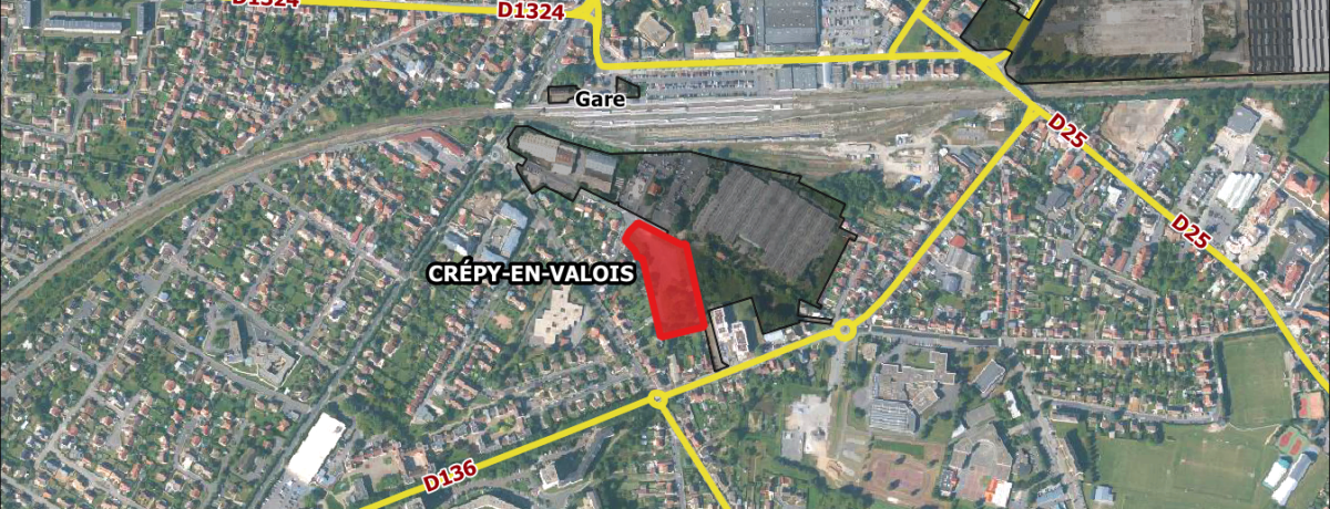 14-crepy-
